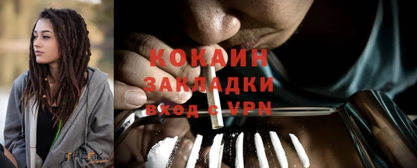 шишки Карпинск
