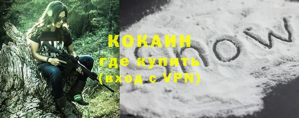 шишки Карпинск