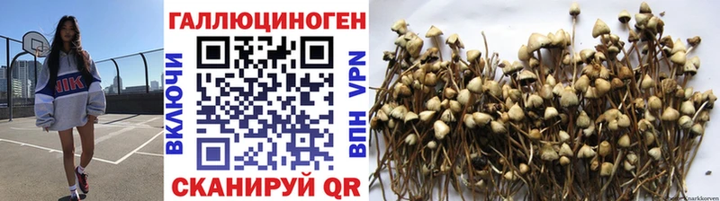 Псилоцибиновые грибы MAGIC MUSHROOMS  Купить  Биробиджан 